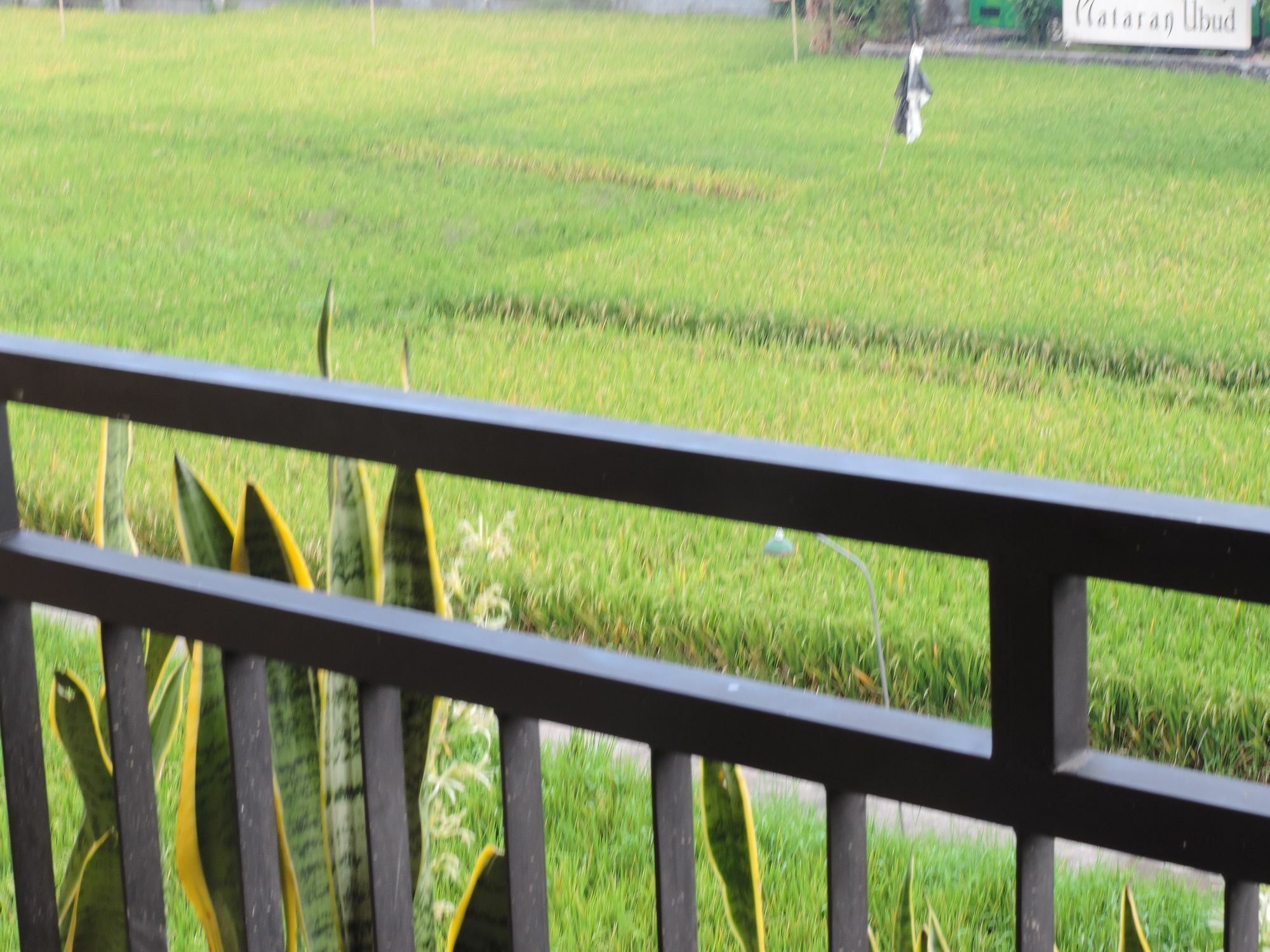 Arnawa Bungalow Hotel Ubud  Exterior photo